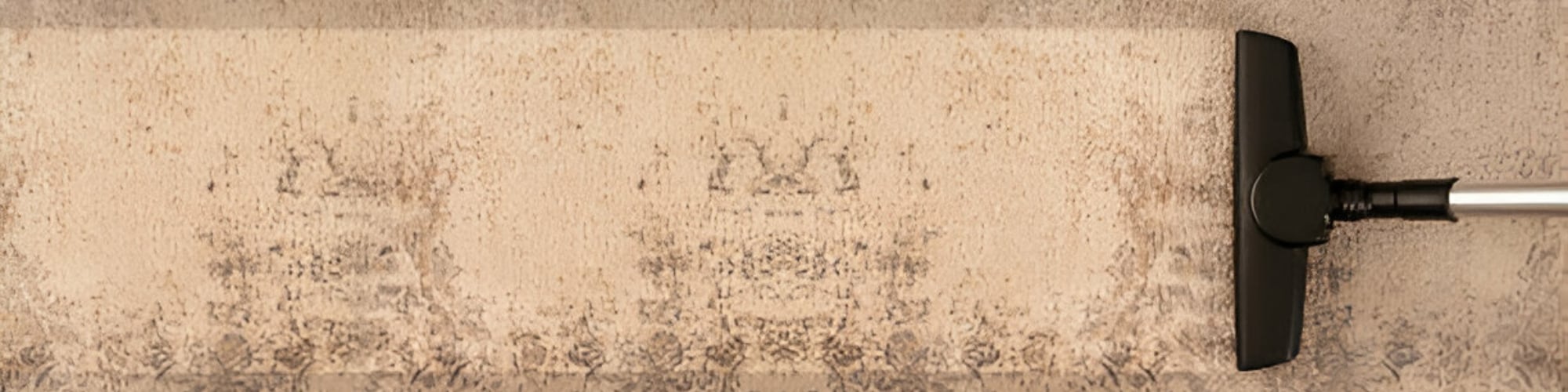 Carpet cleaning services in Grove, Pueblo